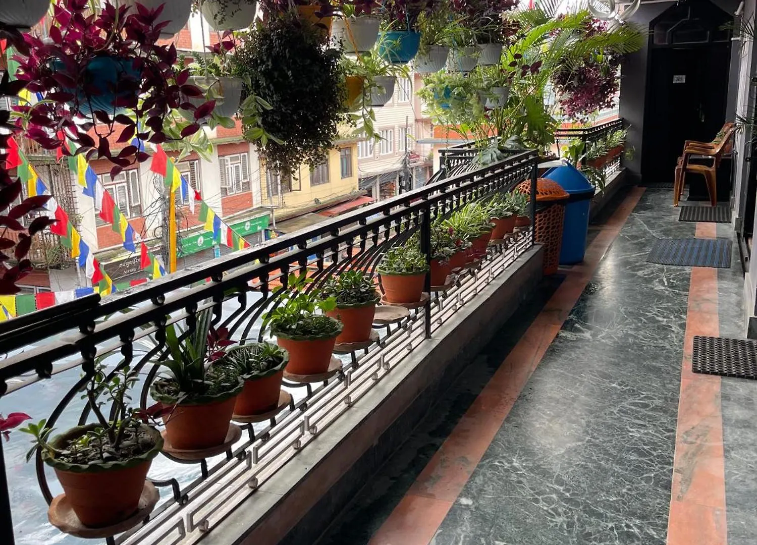 Pema Guest House Katmandou Auberge de jeunesse